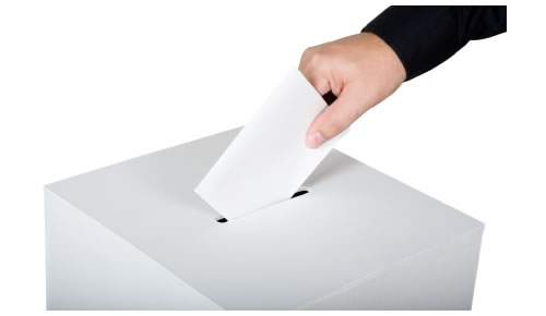 Hamilton city councillors have voted not to study ranked balloting as an option for the next municipal election.
