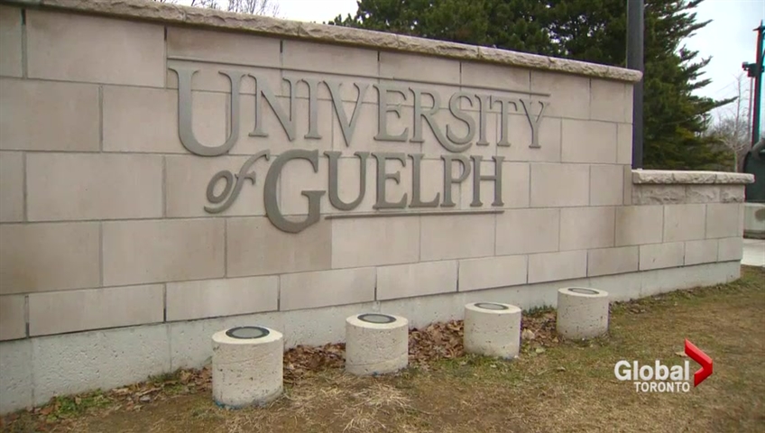 The University of Guelph says it is investigating homophobic slurs reportedly made by a student on social media.
