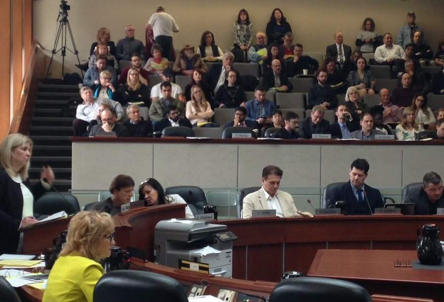 Hamilton residents and business owners presented their views on the LRT project to city council on March 28.