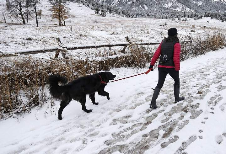 When they realized most women's shelters do not accept pets, Ottawa organization PetSafe set out to do something about the issue. 