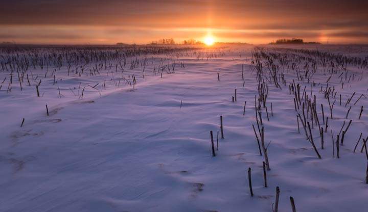 March 25: This Your Saskatchewan photo was taken by Marc Sarmiento near Saskatoon.