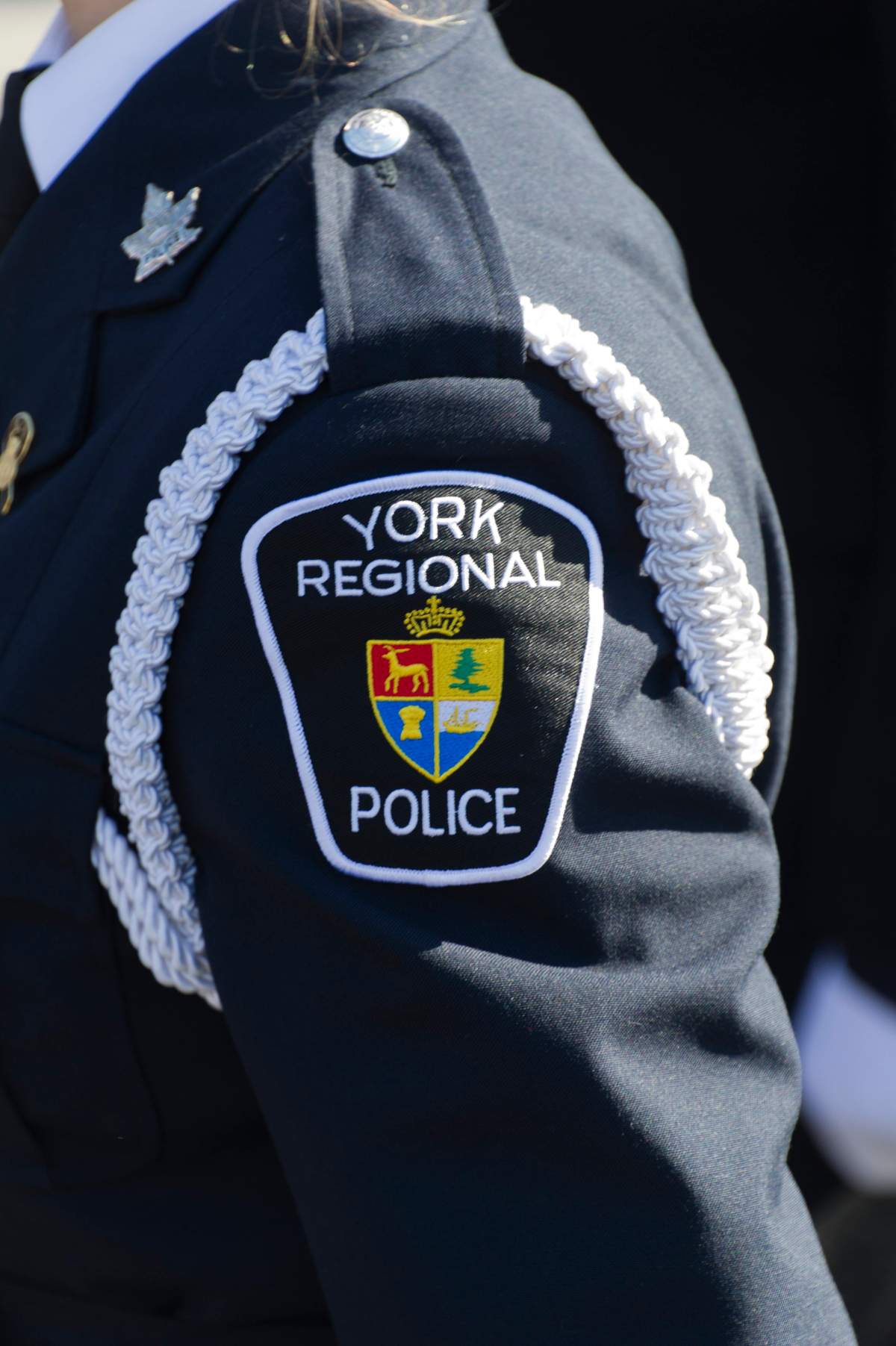 Chief coroner asks outside force to probe indigenous teen deaths in Thunder Bay - image