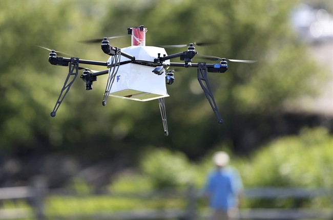 The B.C. Wildfire Service said it was forced to temporarily halt air operations on the Wilson Creek wildfire on Sunday due to drones. 