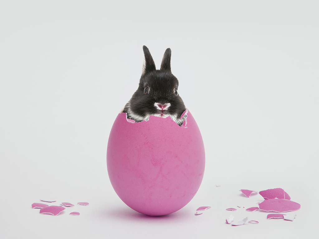 Easter fell on April 1 for the first time in over 50 years.