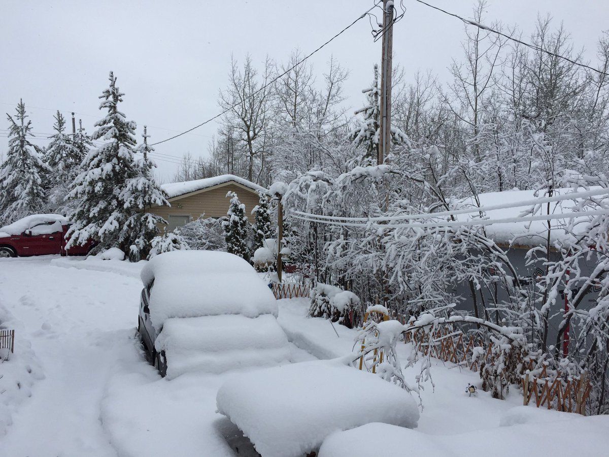 Northern Alberta was hit with a spring snowstorm, April 15, 2017.