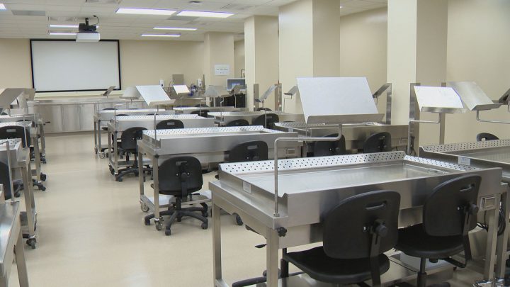 The silent tutor: how your body can help medicine and science - image