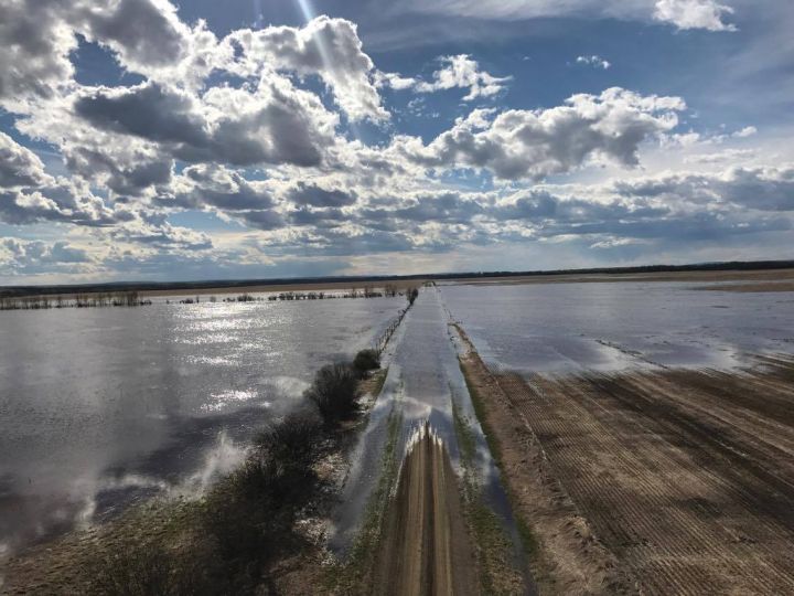 A flood warning was issued for the Whitemud River near the northern Alberta hamlet of Dixonville on Thursday afternoon.