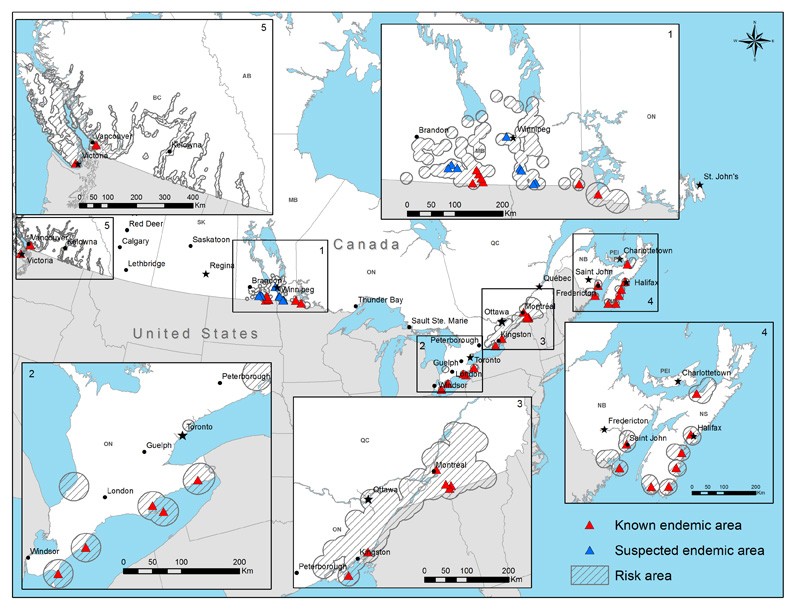 Map: Lyme disease endemic and risk areas in CanadaSource: Public Health Agency of Canada
