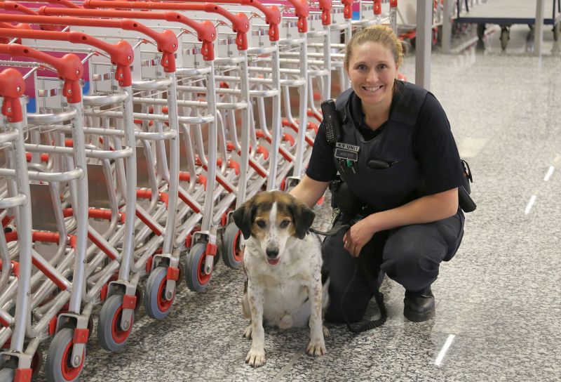 Rusty is retiring, but his handler Officer Hiscott is adopting him.