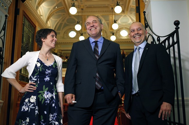 Adam Olsen named BC Green Party interim leader - image