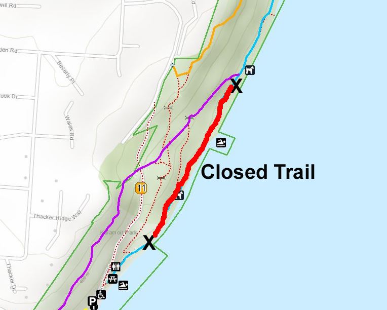 Flooding partially closes lakefront walking trail in popular central Okanagan park - image