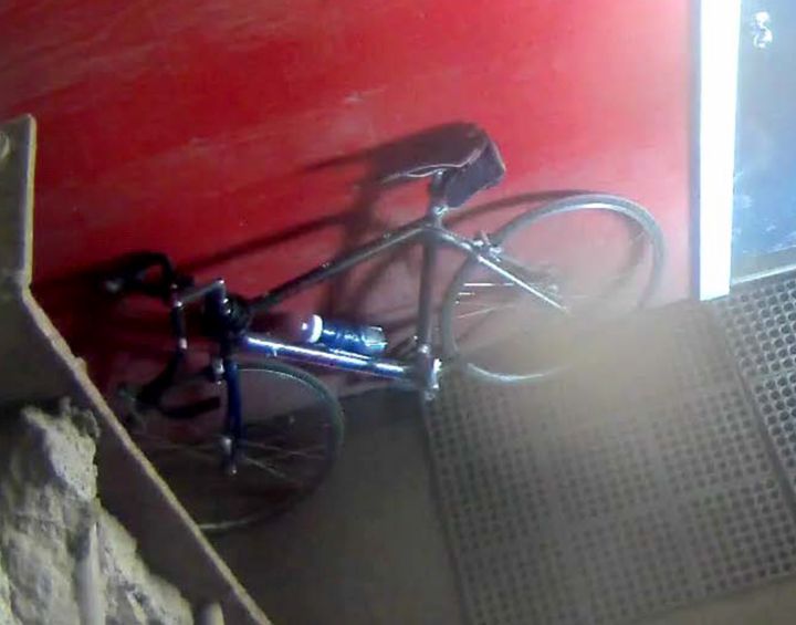 Kelly Flock bicycle