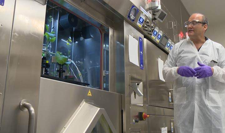 Researchers provide a first look at a PhytoPET imaging system, a new tool that could allow researchers to develop new crop varieties.