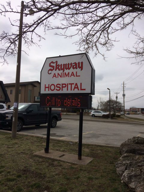 16 charges have been laid by the OSPCA, following an investigation into a St. Catharines vet.