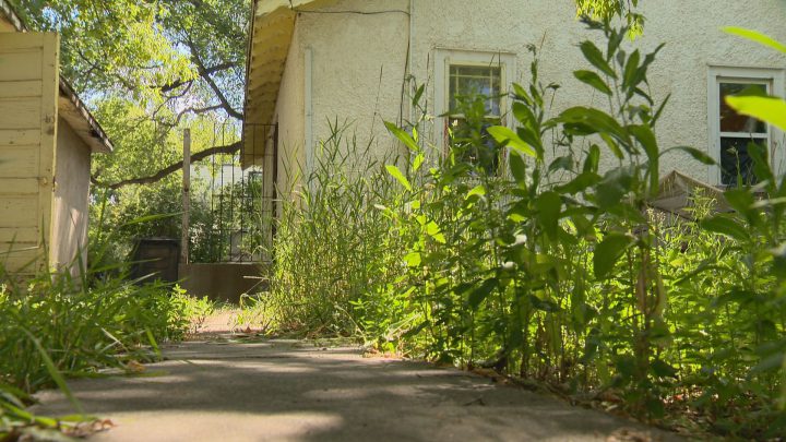 Saskatoon woman sick and tired of living next to abandoned house - image