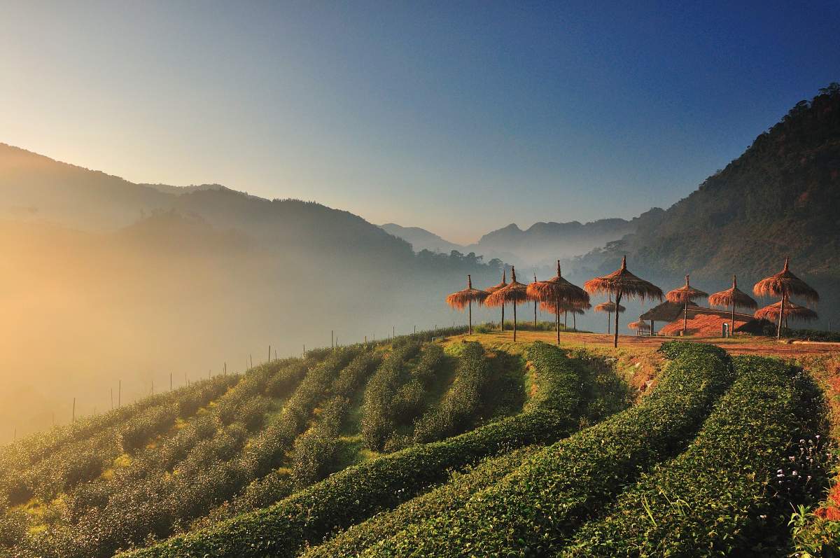Chiang Mai