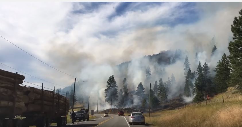 A wildfire is burning near Monte Lake, B.C.