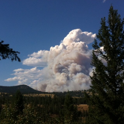 A wildfire that has prompted evacuations near Princeton, B.C.