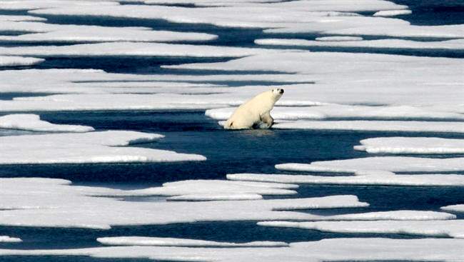 Nunavut is sounding the alarm over European plans to launch a satellite that would drop a rocket stage likely to contain highly toxic fuel in the Arctic.