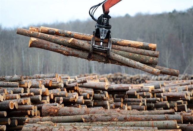 Canada plans to ask the World Trade Organization to set up an adjudication panel to judge its dispute with the U.S. over Canadian lumber exports.