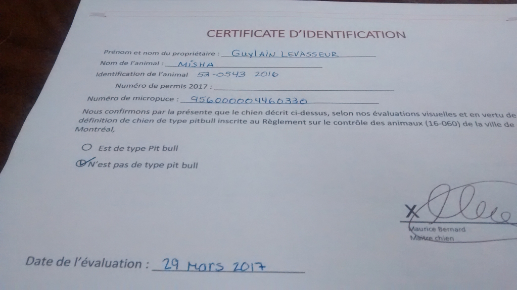 A document Levasseur says was given to him by the City of Montreal that states Misha is not a pit bull-type.
