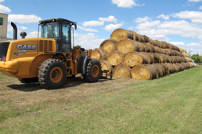 The program intends to create a network of plant health officers across the province, in addition to providing three rebate programs to minimize the impacts of agricultural pests.