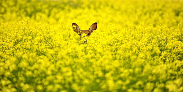 Mark Duffy took this September 12 Your Saskatchewan photo near Stoughton.
