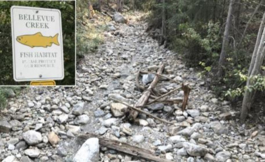 Kelowna's Bellevue Creek during drought conditions in 2017. The B.C. River Forecast Centre says rivers and streams are at risk of low flows this summer with snowpack levels for mid-May verging on historic lows.