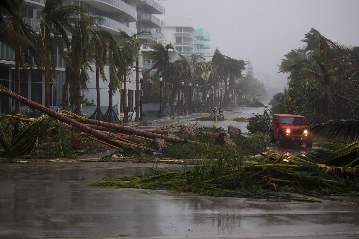 A vehicle passes downed palm trees and two cyclists attempt to ride as Hurricane Irma passed through the area on September 10, Miami Beach.