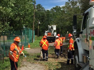 Linemen with TALTREES Power work in St. Petersburg Florida.