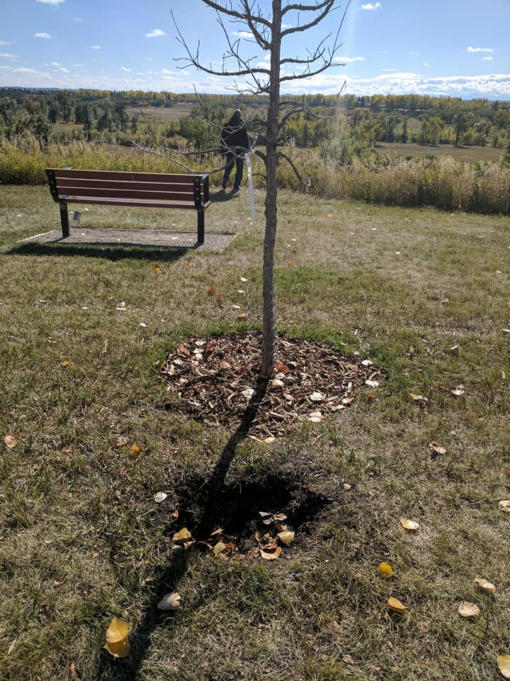 Missing memorial plaque