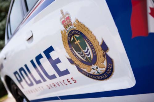 A Peterborough man was arrested for allegedly assaulting a loss prevention officer on Thursday.