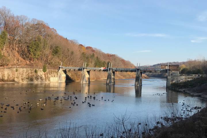 The civic works committee unanimously endorsed a report from staff laying out the options for Springbank Dam  .