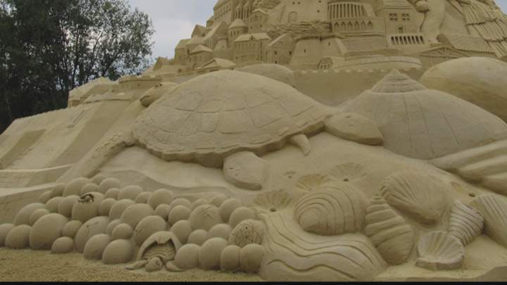 The turtle section Patricia Leguen focused on as part of the construction of the world’s tallest sandcastle.