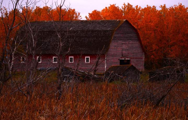 Brenda Reifferscheid took the Oct. 17 Your Saskatchewan photo near Humboldt.