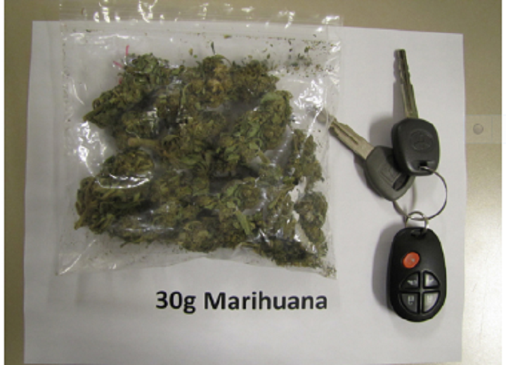 An example of what 30 grams of cannabis looks like.