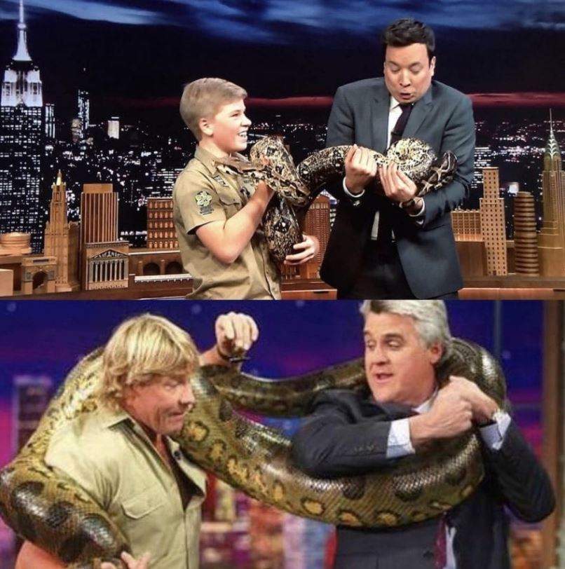‘Crocodile Hunter’ Steve Irwin’s family returning to TV - image