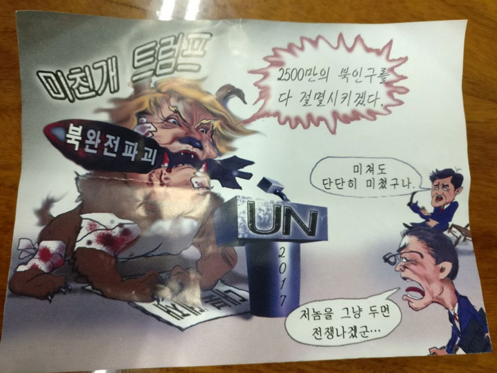 North Korean flyer