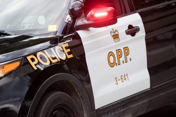 Norfolk County OPP are investigating after a local resident discovered the remains of six dead puppies while out on a walk Friday morning.