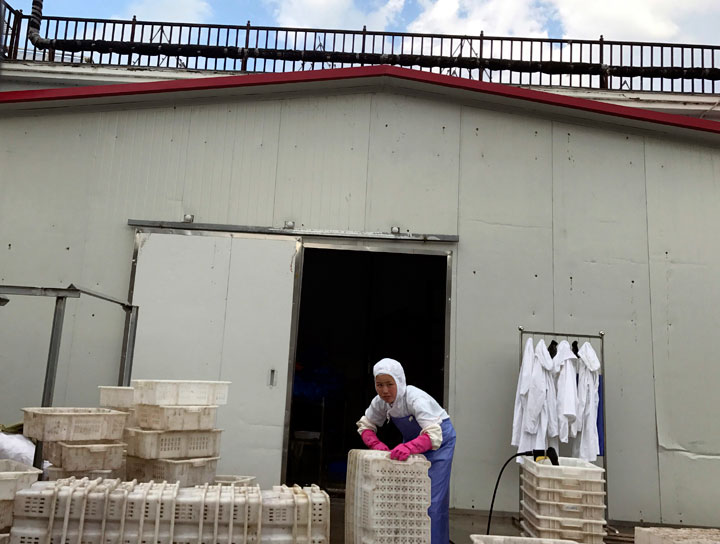 North Korean worker