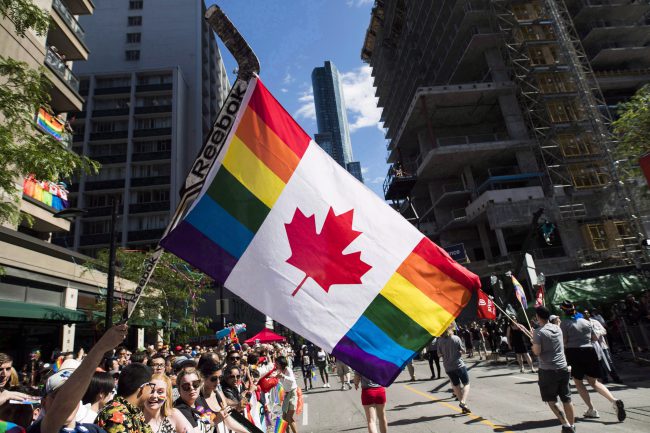A man holds a flag on a hockey stick during the Pride parade in Toronto on June 25, 2017.