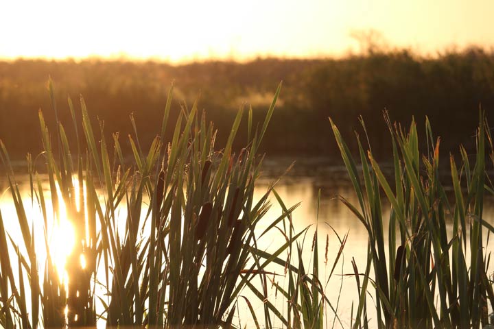 Aeran Schmid took this Nov. 5 Your Saskatchewan photo near Naicam.