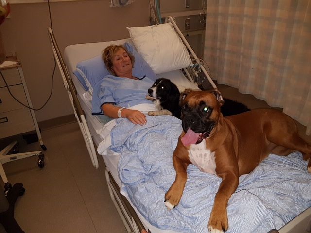 Annette Poitras with Roxy and Chloe, two dogs that were with her when she was rescued on Coquitlam’s Eagle Mountain.