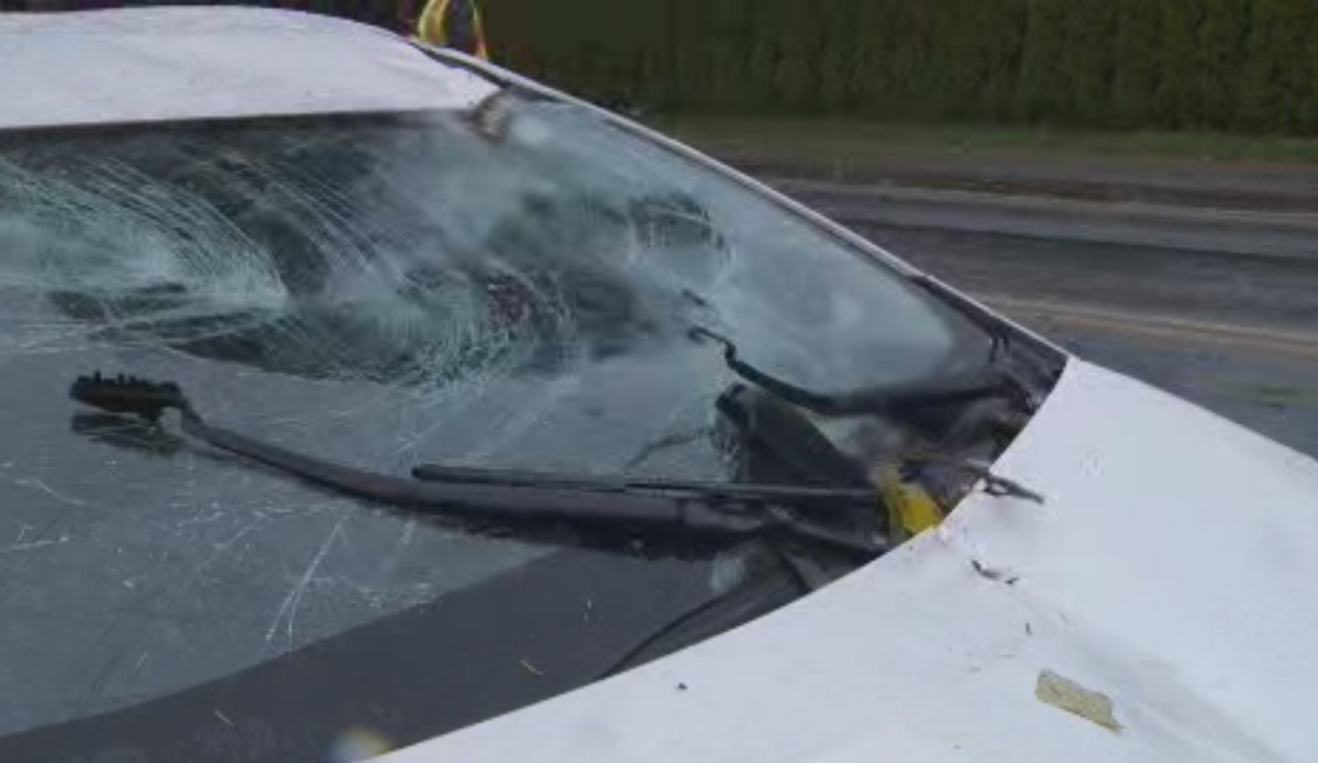 The windshield of a car after it was hit by a branch amid a windstorm in Langley on Nov. 13, 2017.