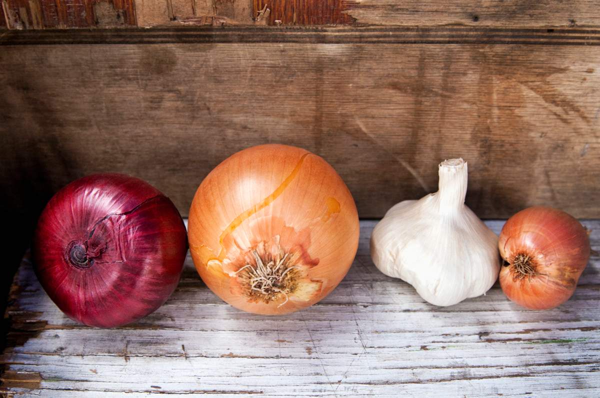 Onions and garlic