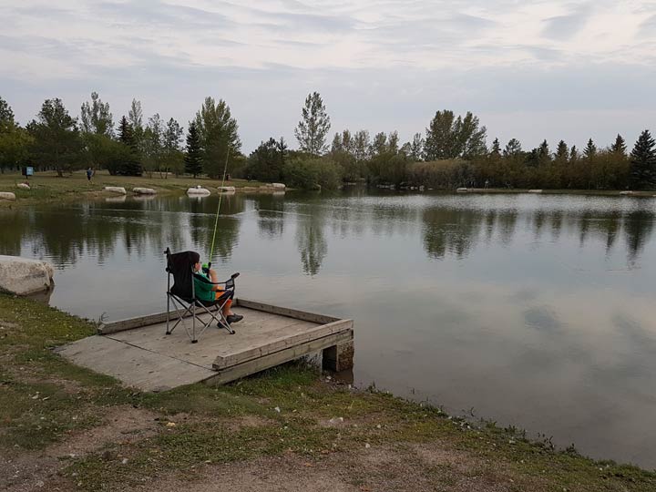 Koreena Jackson took this Nov. 12 Your Saskatchewan photo in Saskatoon.