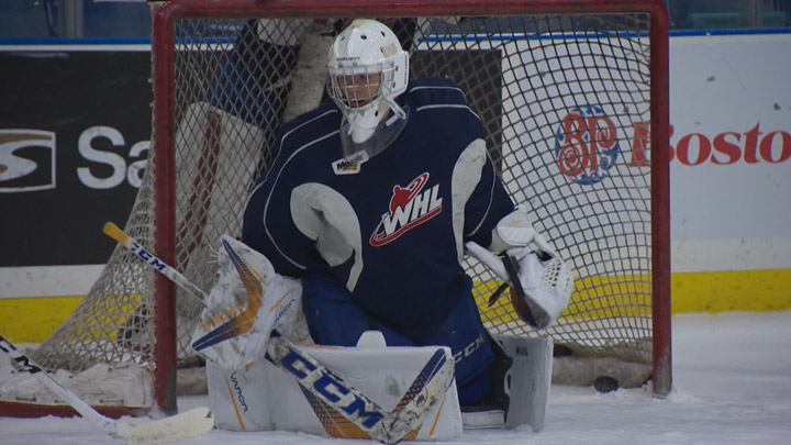 The Saskatoon Blades have called up goaltending prospect Nolan Maier (pictured), release goalie Joel Grzybowski.