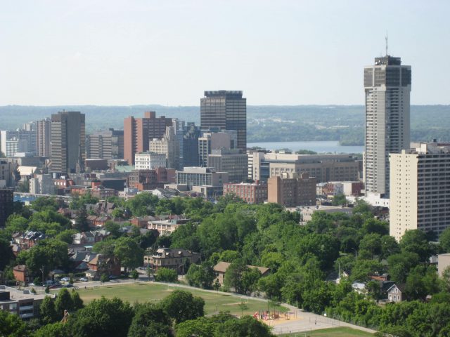 One in five Hamiltonians identify with a visible minority group - image
