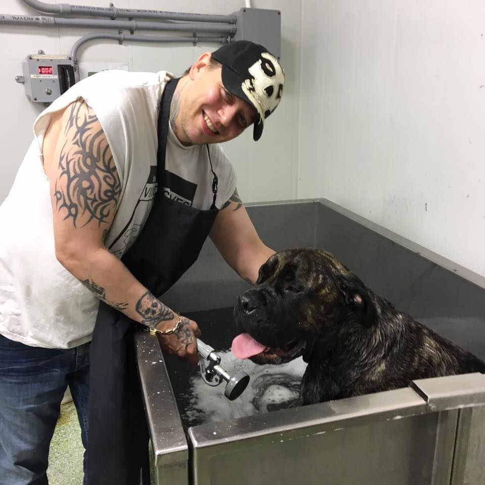 Saskatoon native Cameron Griffiths has been identified as the victim in a fatal collision in eastern Alberta. 