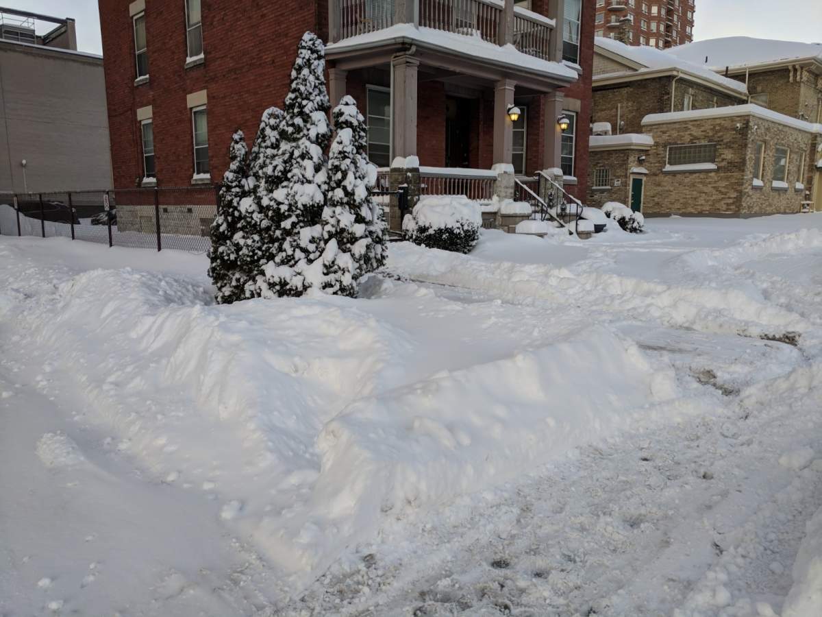 London digs out following first major snowfall of the season - image